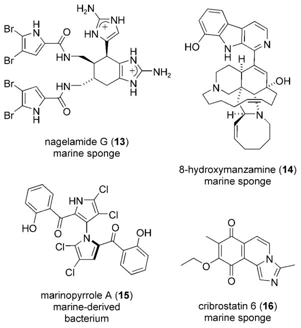 Scheme 4