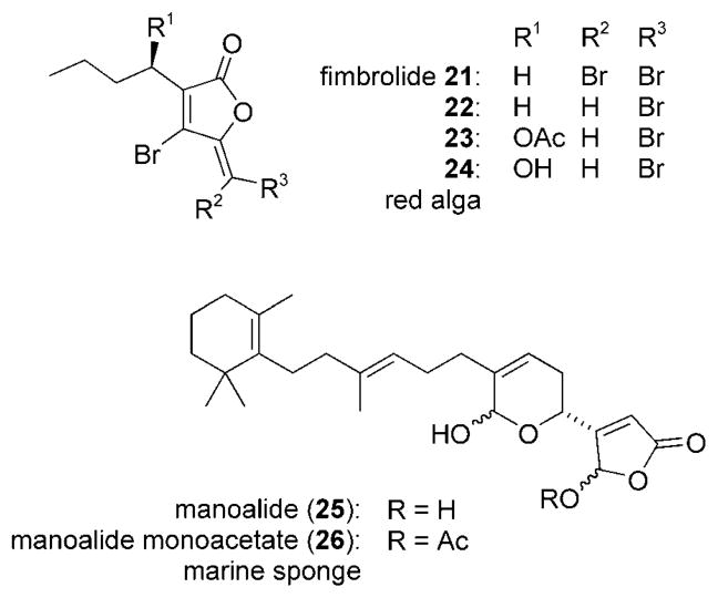 Scheme 6