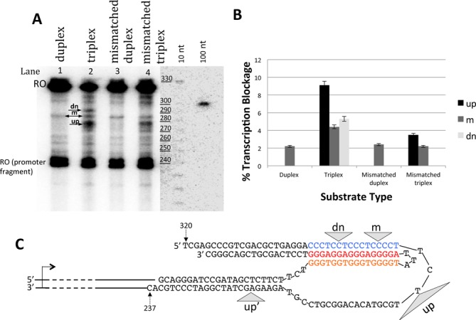 Figure 3.