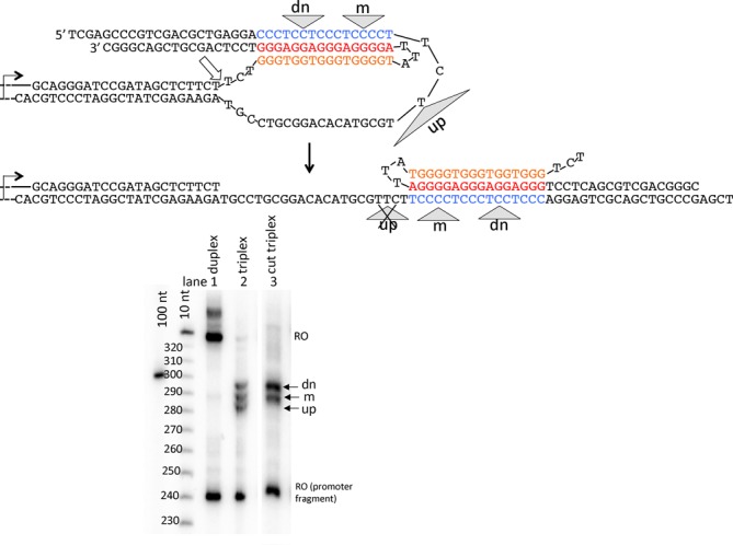 Figure 6.