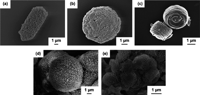 Fig. 7