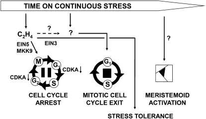 Figure 9.