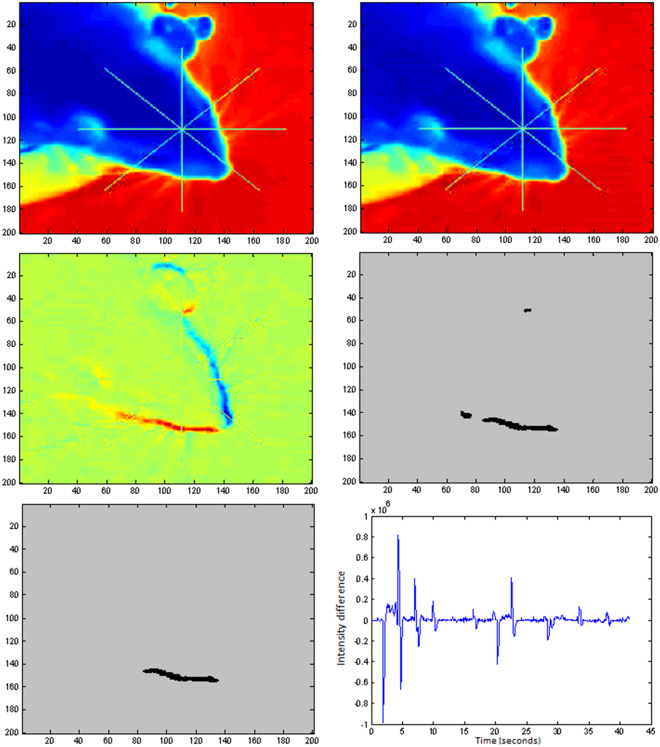 Figure 5