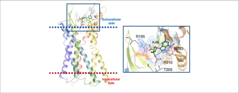 FIGURE 3