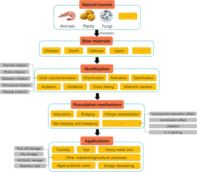 graphic file with name 11356_2021_15299_Figa_HTML.jpg