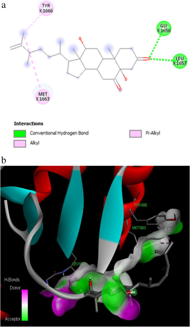 Fig. 13