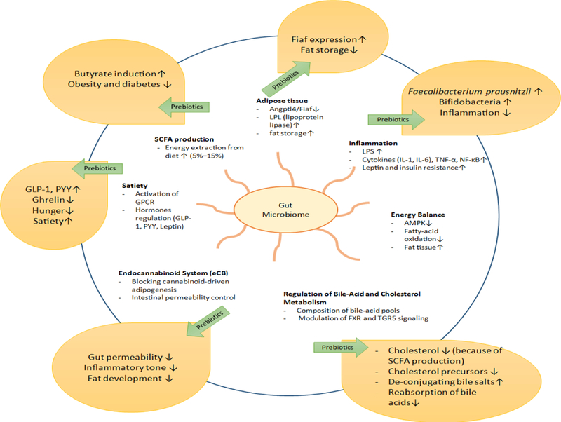 Figure 4: