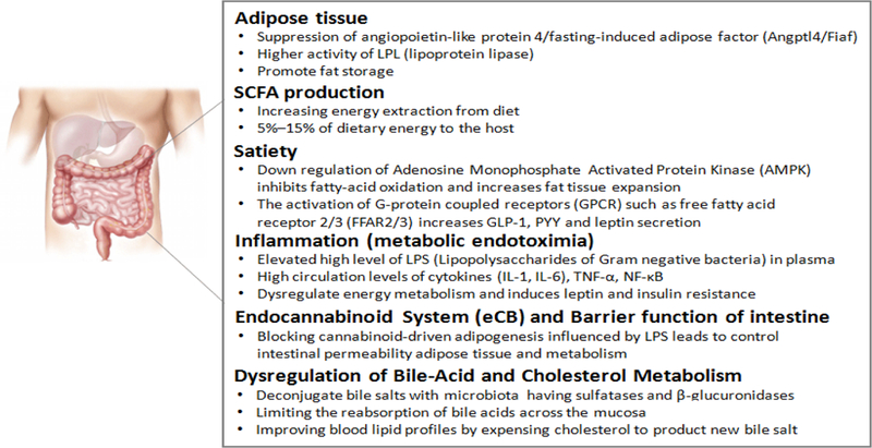 Figure 2: