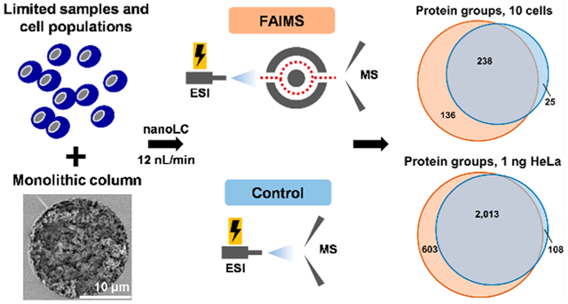 graphic file with name nihms-1677784-f0001.jpg