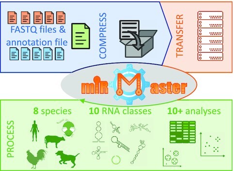 Graphical Abstract