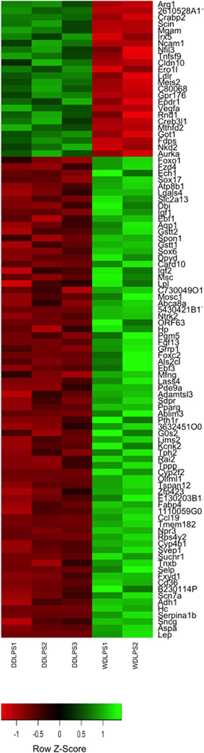 Figure 5