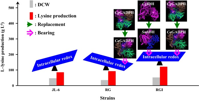 graphic file with name 12934_2019_1114_Figa_HTML.jpg