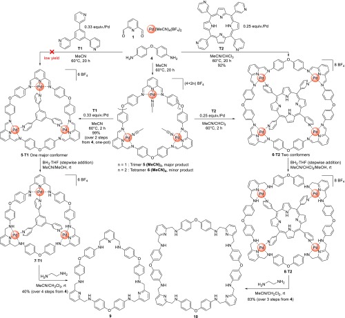 Scheme 2