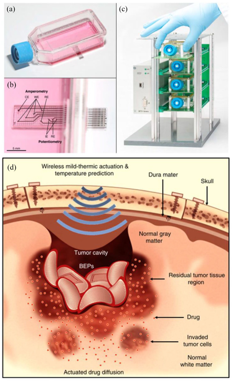 Figure 2.