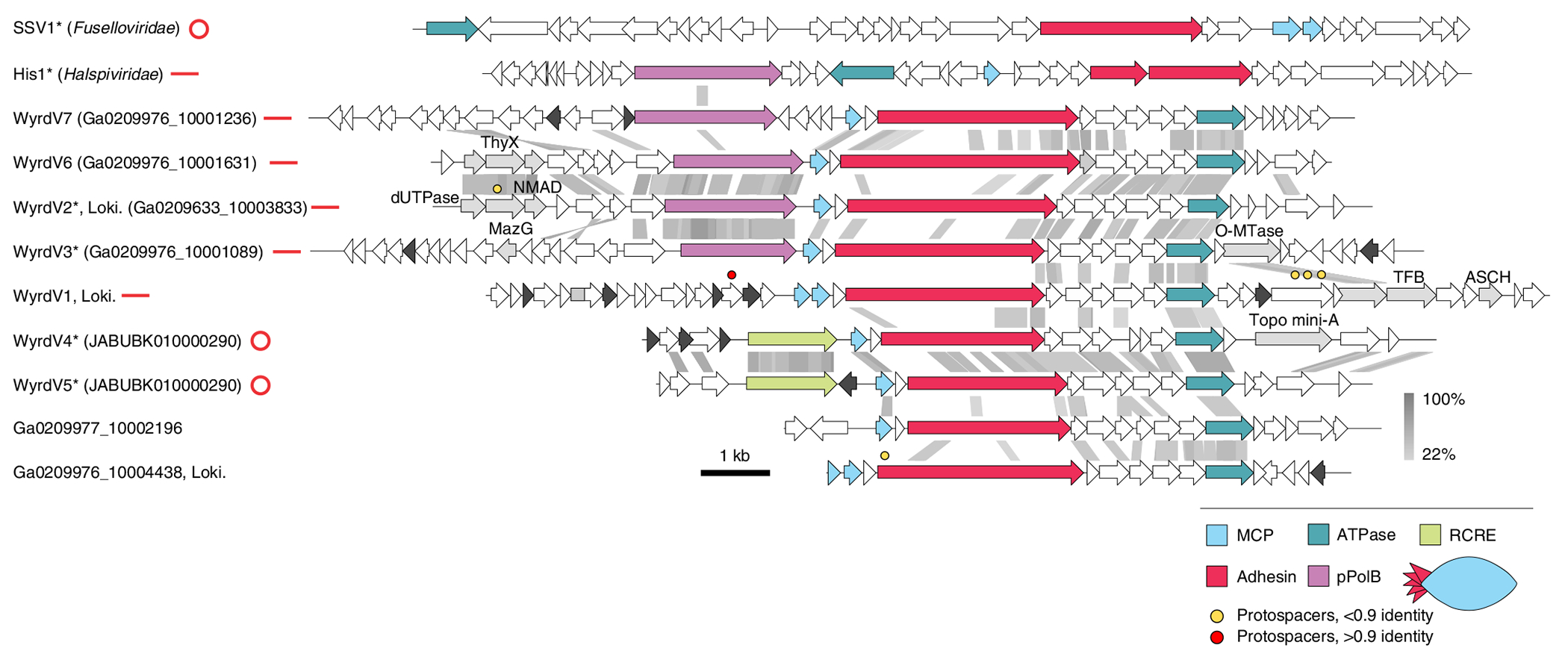 Fig. 5 |