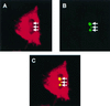 FIG. 3