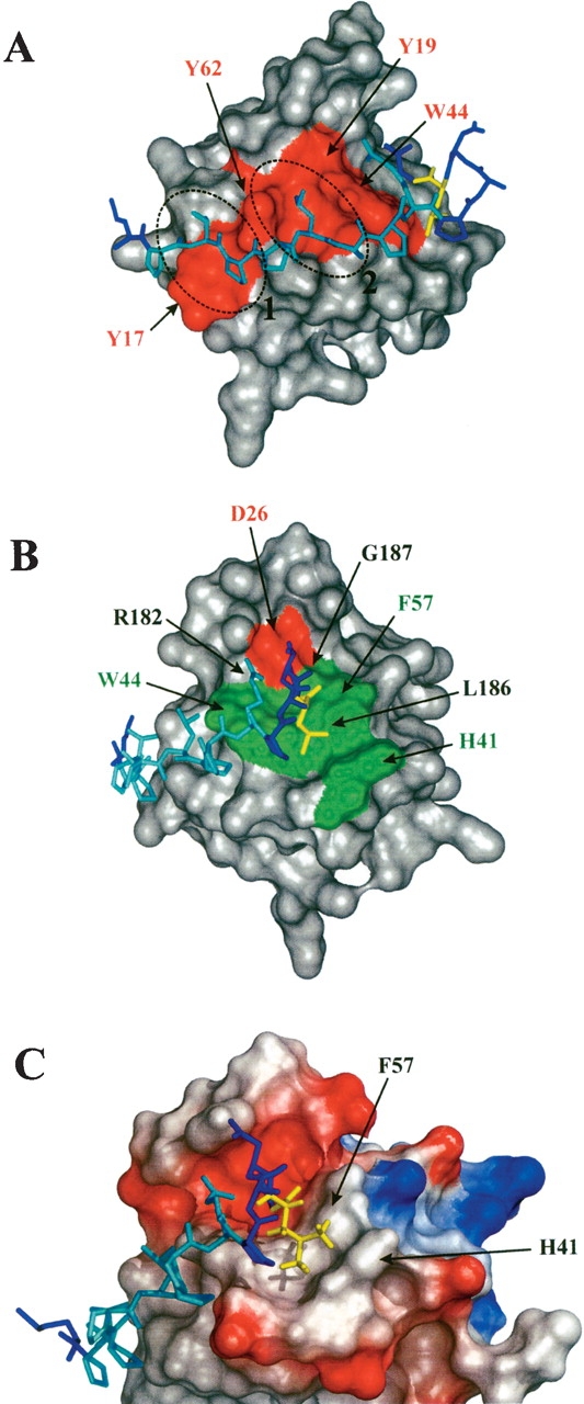 Figure 7.