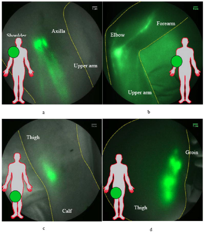 Fig. (3)