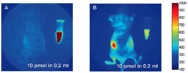 Fig. (1)