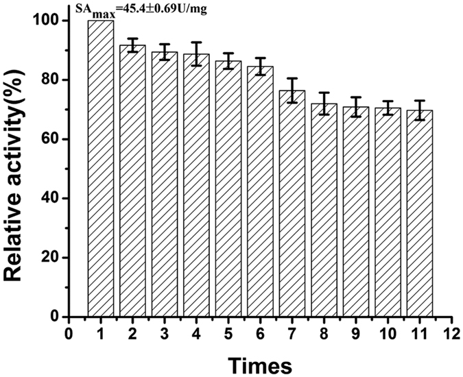 Figure 11