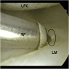 Fig 8