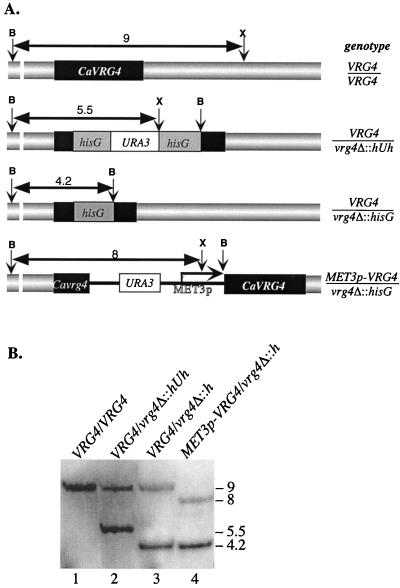 FIG. 4.