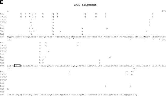 FIG.7.