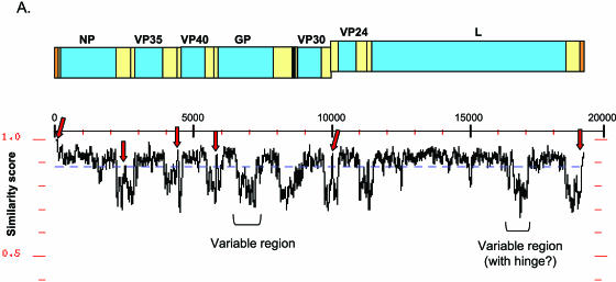 FIG. 4.