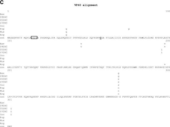 FIG.7.