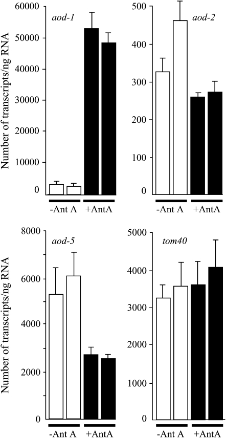 Figure 5.—