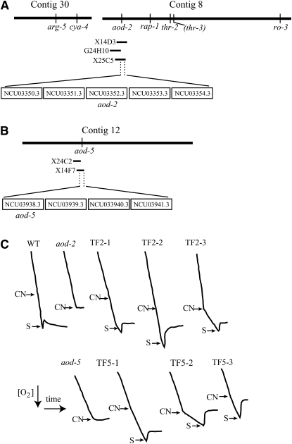 Figure 1.—