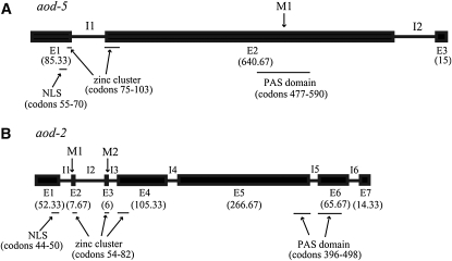 Figure 2.—