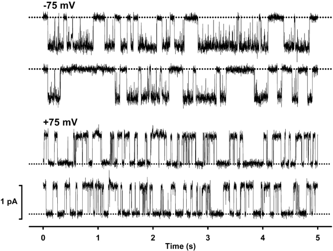 Figure 3. 