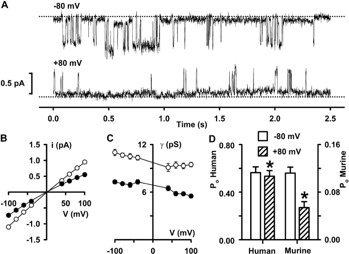 Figure 10. 