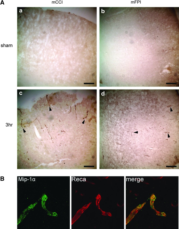 FIG. 8.