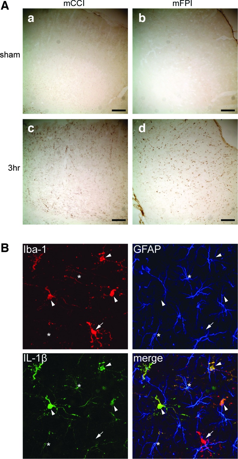 FIG. 7.