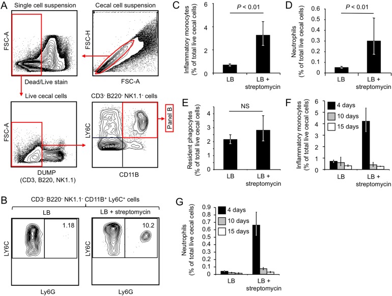 FIG 3 