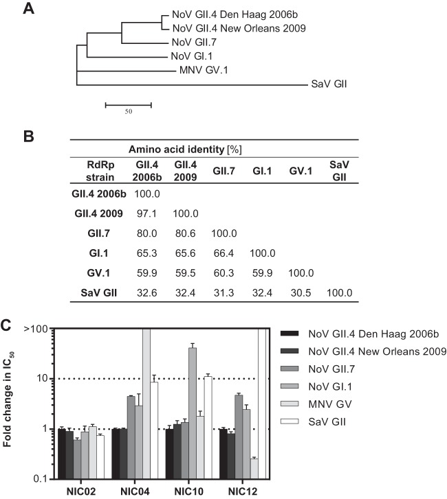 FIG 5