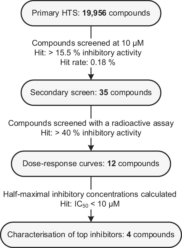 FIG 1