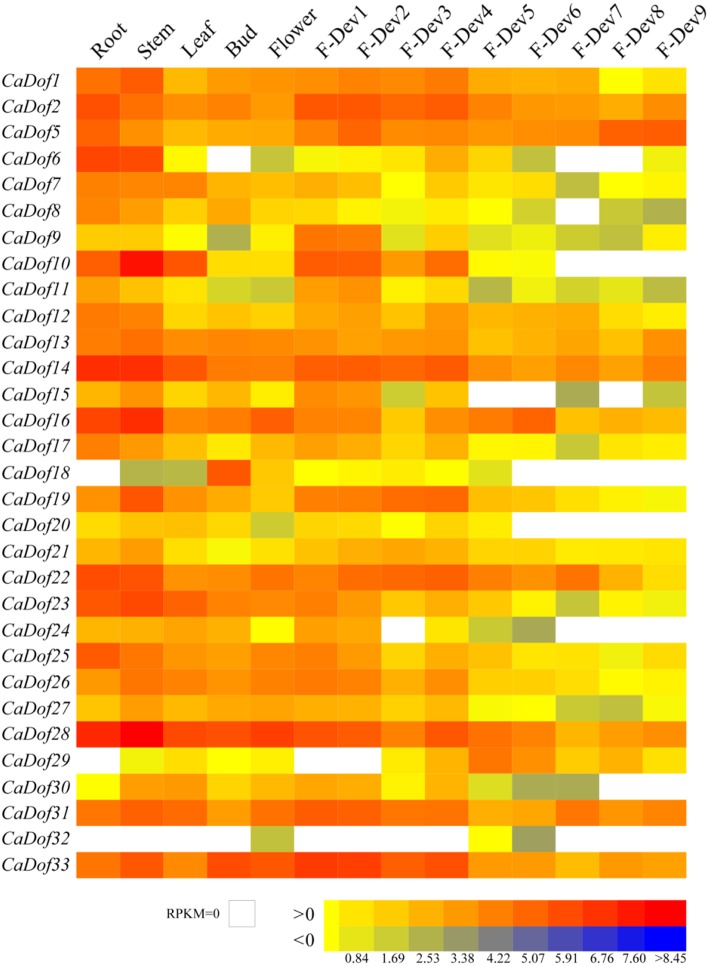 Figure 6