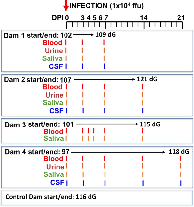 Fig 14