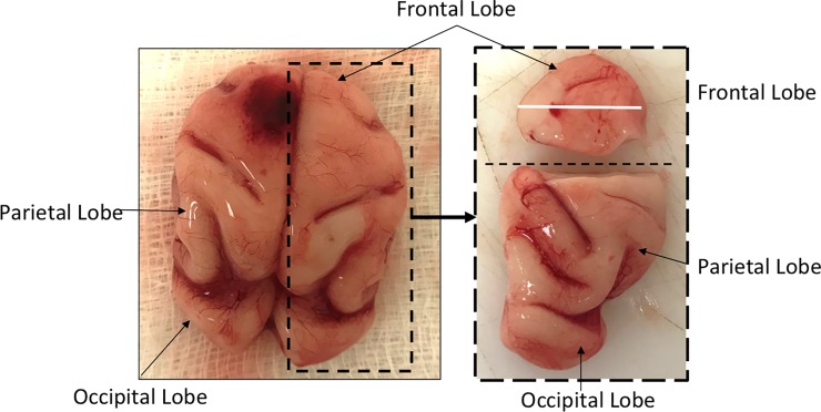 Fig 15