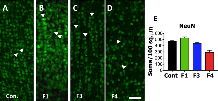 Fig 4