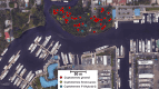 Confirmation of a Coptotermes hybrid colony established in the field, in Ft Lauderdale, Florida city. Soldiers collected from two trees located 22 m apart were confirmed to be F1 Hybrid G termites, putatively from the same colony.
