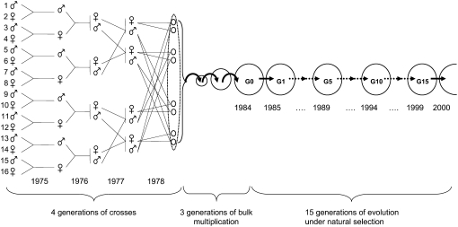 Figure 1.—