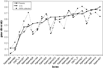 Figure 2.—