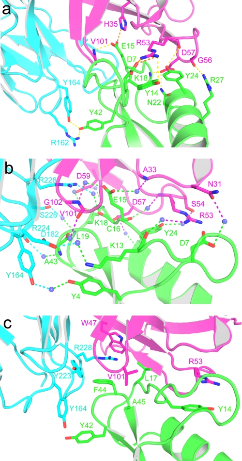 FIGURE 3.