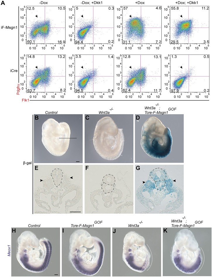 Fig. 8.