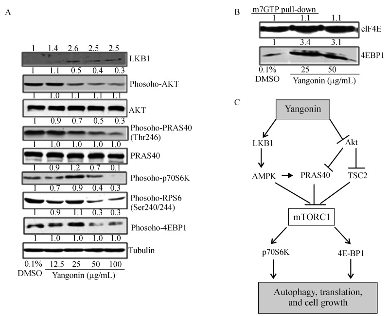 Fig.3