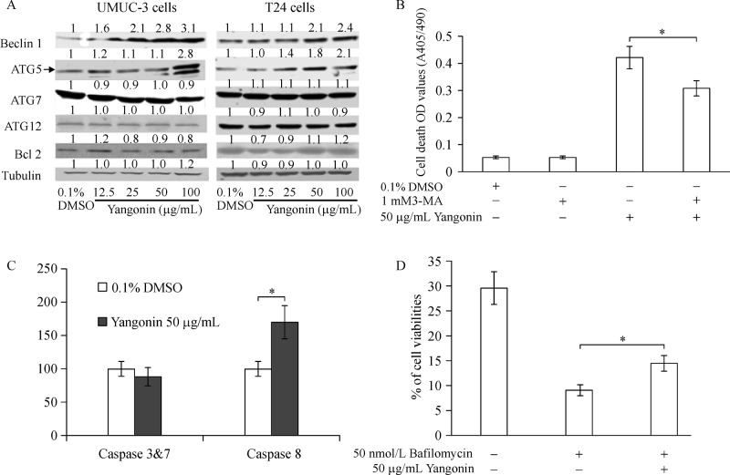 Fig.2